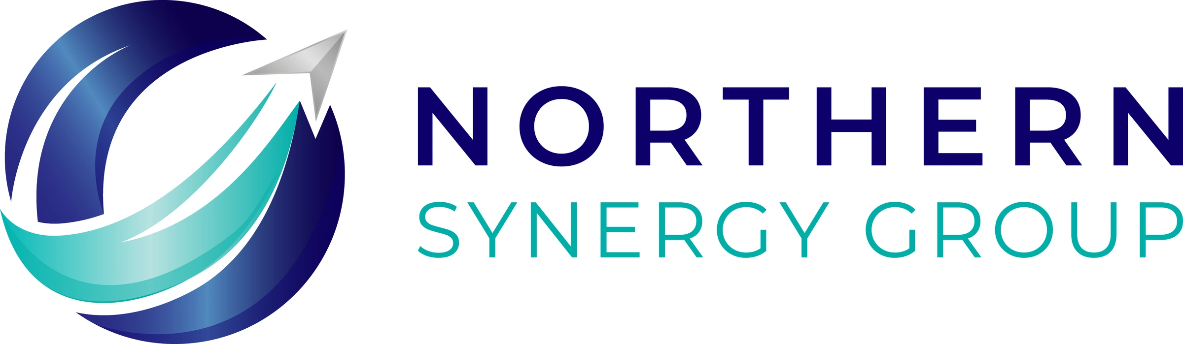 Northern Synergy Group logo